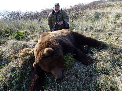 Brown Bear